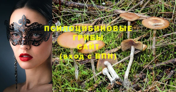 таблы Алексин